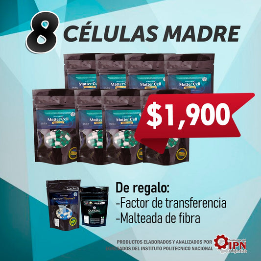 8 Células Madre
